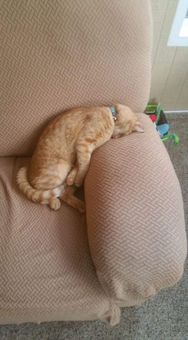 It Was A Very Long Day