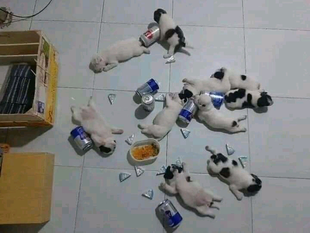 It was just a small party