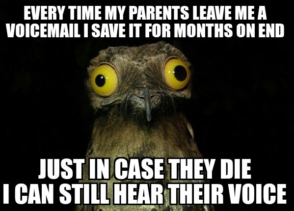 It would kill me if I couldnt at least hear them