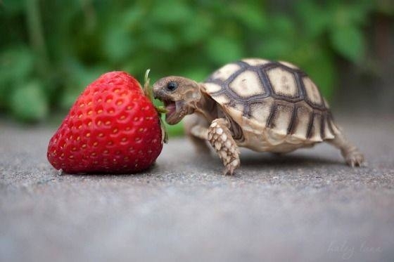 Itll fit