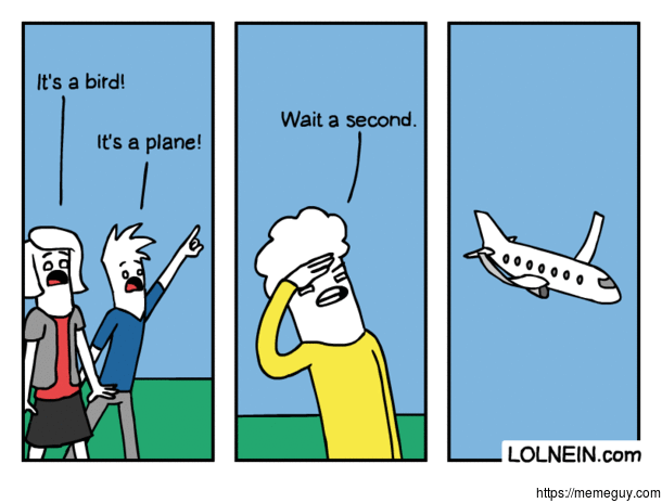 Its a Bird