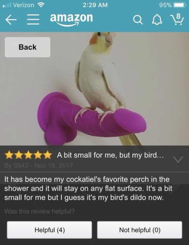 Its a bit small for me but I guess its my birds dildo now