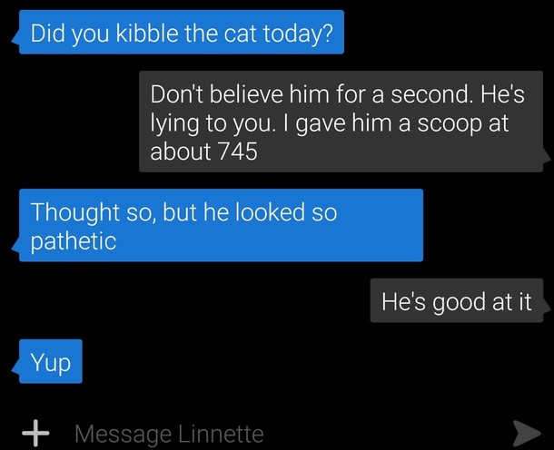 Its a cat thing
