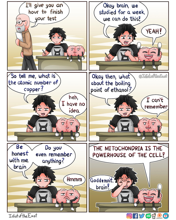 its a core memory that the brain can never forget