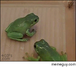 Its a frog eat frog world