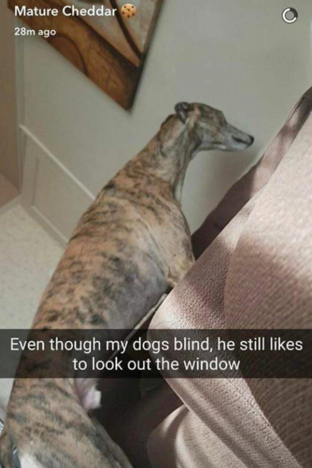 Its a great view