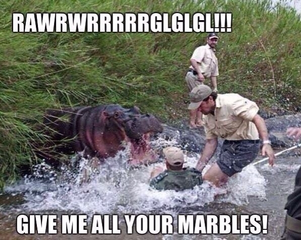 Its a race its a chase hurry up and feed their face