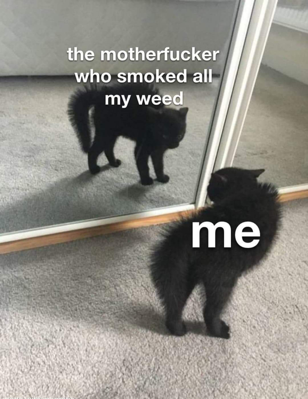 Its a repost but I love this