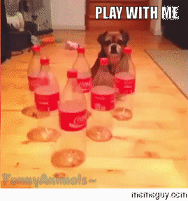Its a ruff relationship