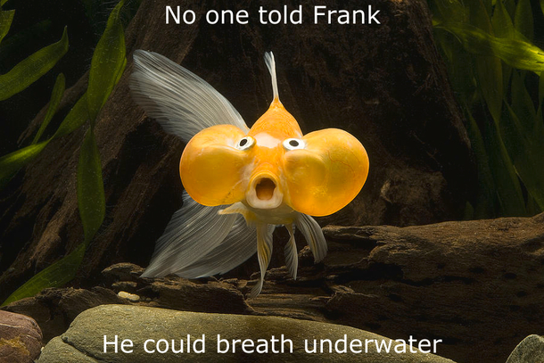Its a shame that no one told him