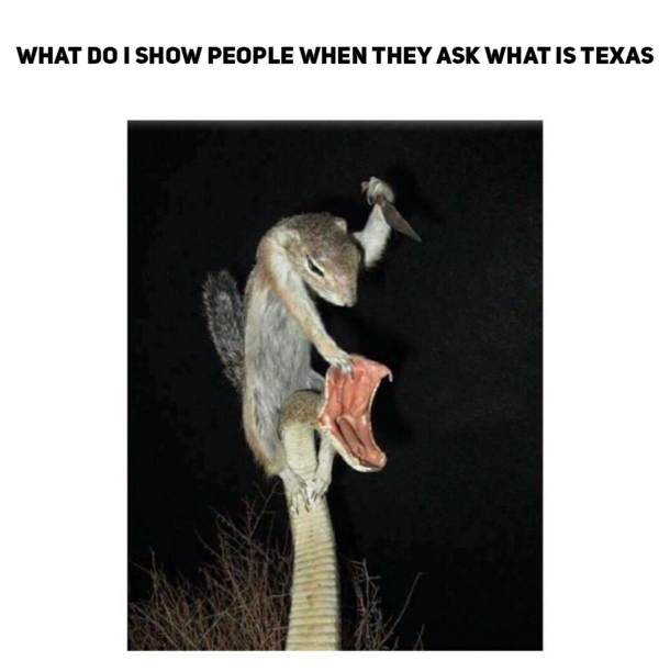 Its a Texas baby