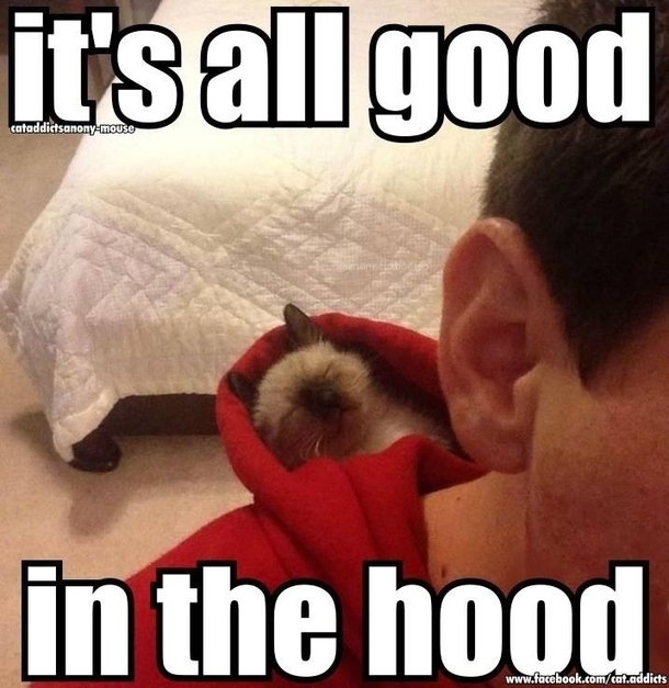 Its All Good In The Hood Meme Guy