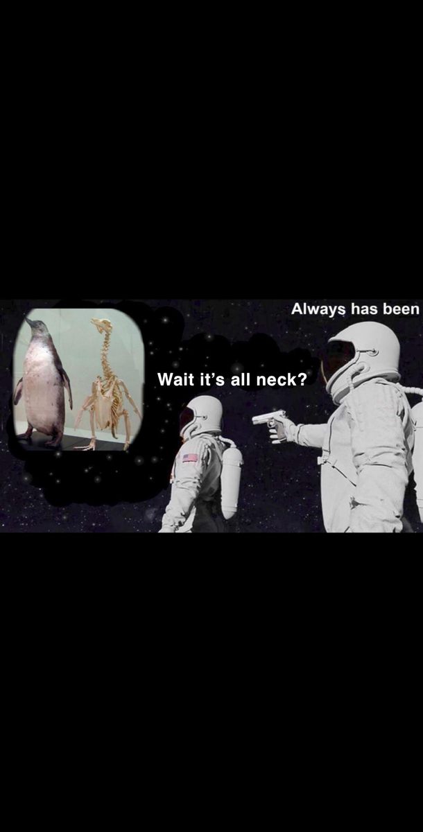 Its all neck 