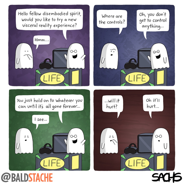 its all the rage