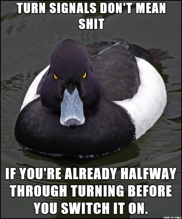 Its almost more infuriating than people who just dont use them at all