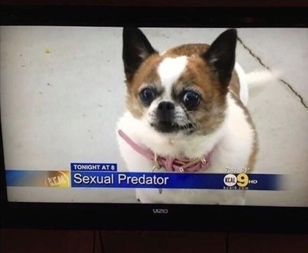 Its always the ones you least expect