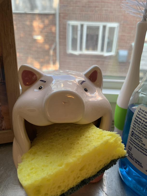 Its been  week since I added angry eyes to our sponge holder Seeing how long it takes the wife to notice