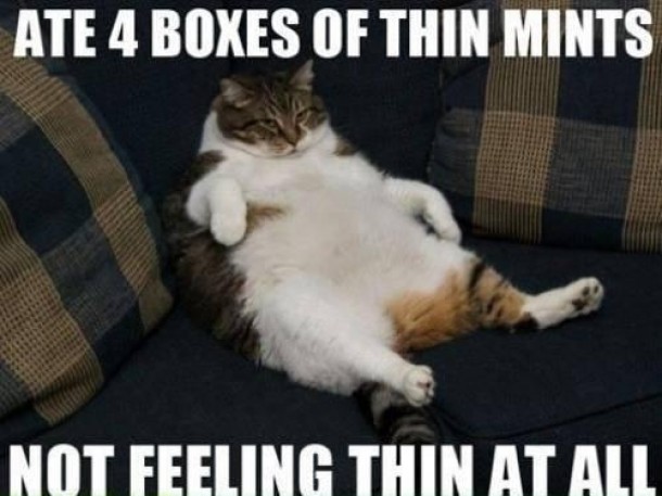 Its cookie season again