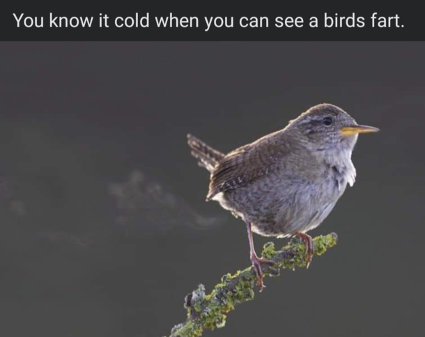 Its freaking cold here in the northeast
