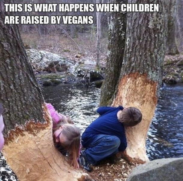 Its funny because they look like beavers