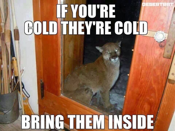 Its getting close to winter Dont forget about your animals