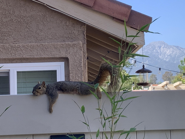 Its getting hot out and this little guy cant handle the heat