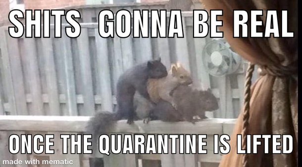 Its gonna get squirrelly