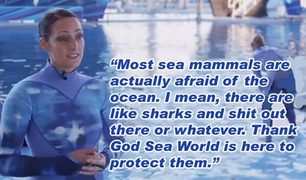 Its good to finally hear Sea Worlds side of the story