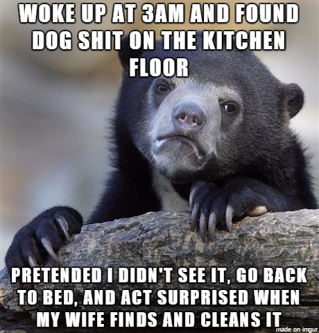 Its her dog not mine