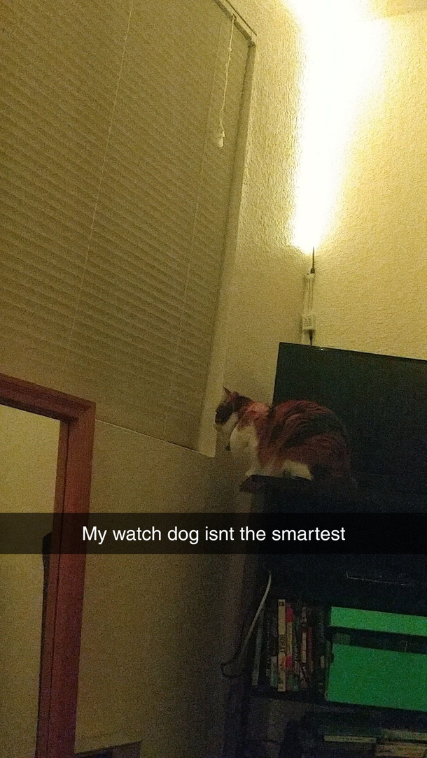 Its her first day