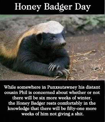 Its HONEY BADGER DAY