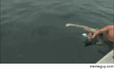 Its impossible to toss a cage back into the boat when youre in the water