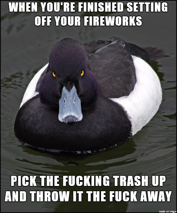 Its just common fucking sense my neighborhood is littered with them