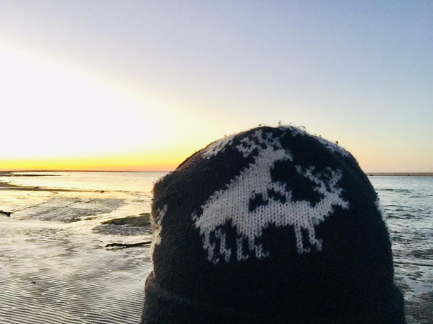 Its just some effing reindeer on my hat