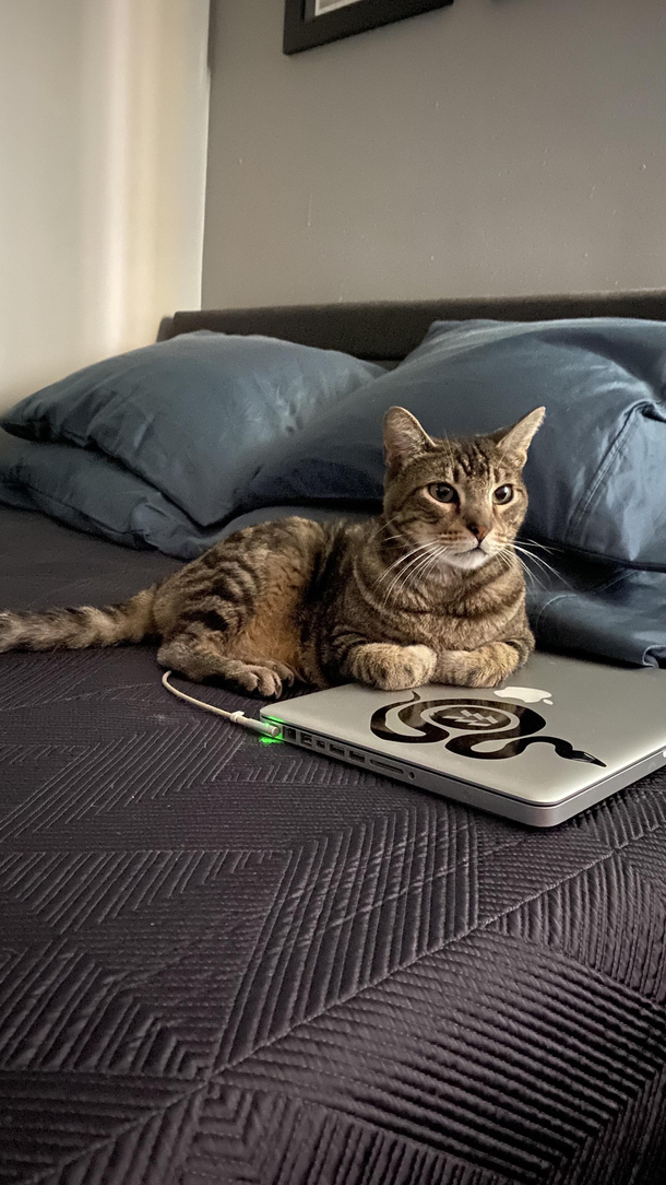 Its made of warm therefore I must sit
