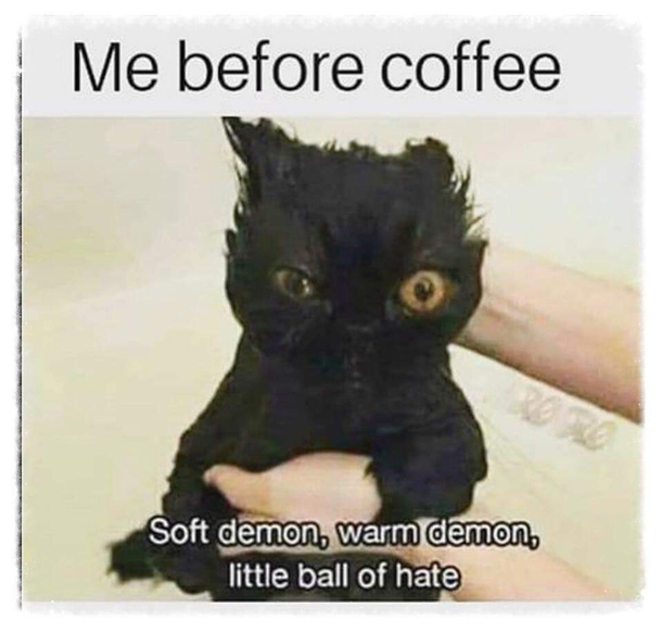 Its me everyday