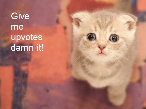 its my first cake day and its almost over