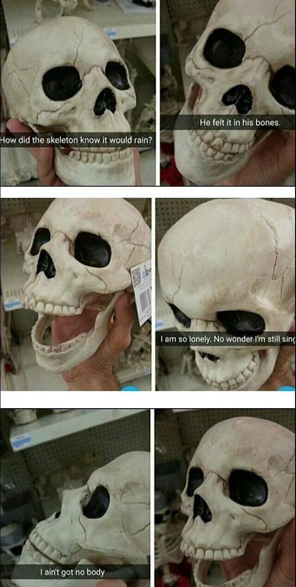 Its never too late to laugh