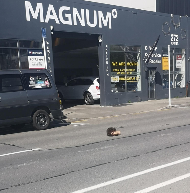 Its not everyday you come across a head on the road