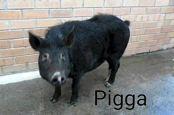 Its not racist its his name