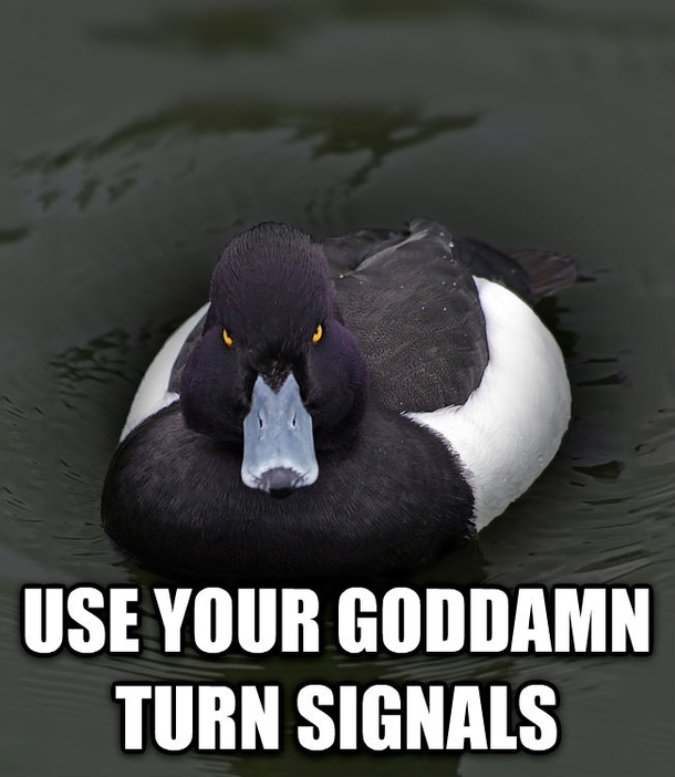 Its not that fucking difficult