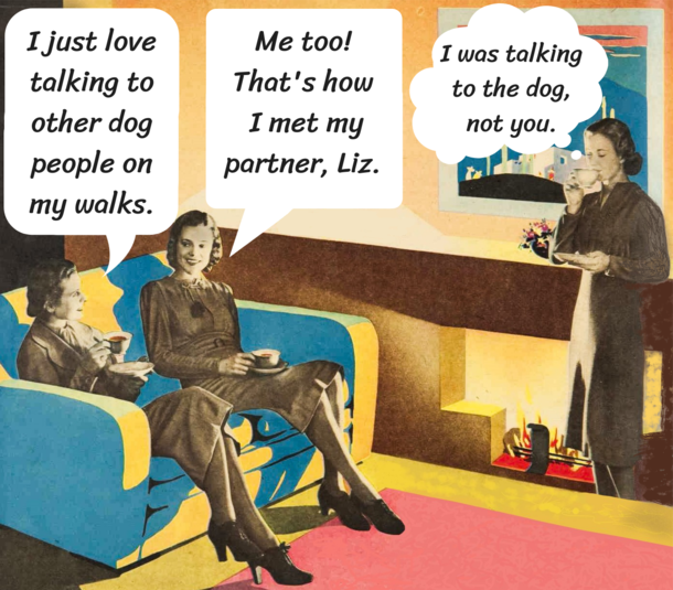 Its not you its dog