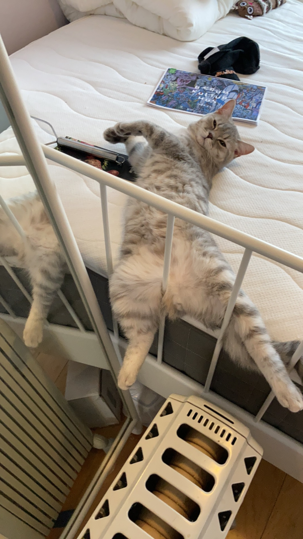 Its nothing to see here