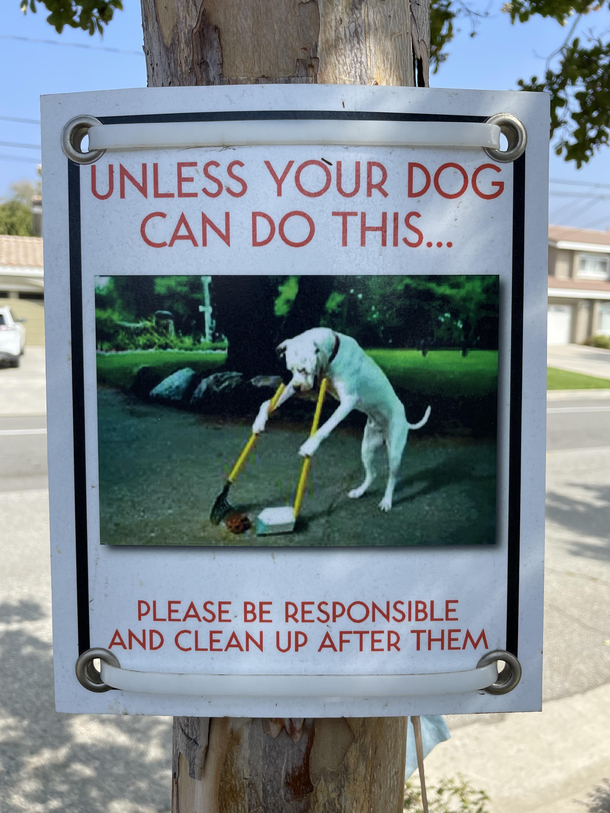 Its Paw-sible