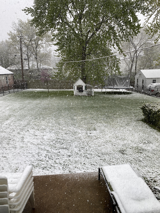 Its snowing in Missouri on  earth must be on some good kush right now or somethin
