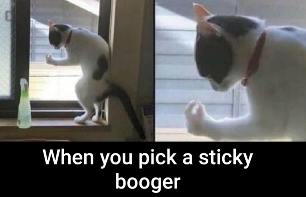 Its sticky