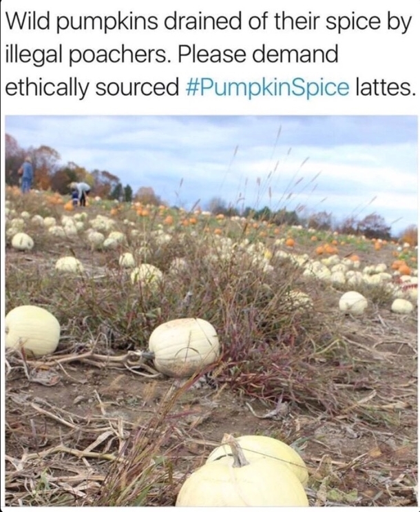 Its that time of year again folks If you see something say something