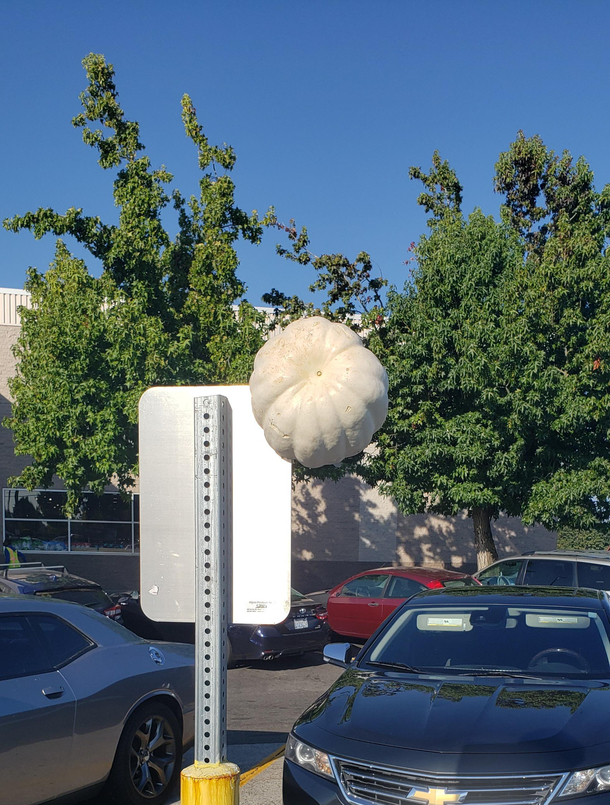 Its that time of year where they start putting pumpkins on everything