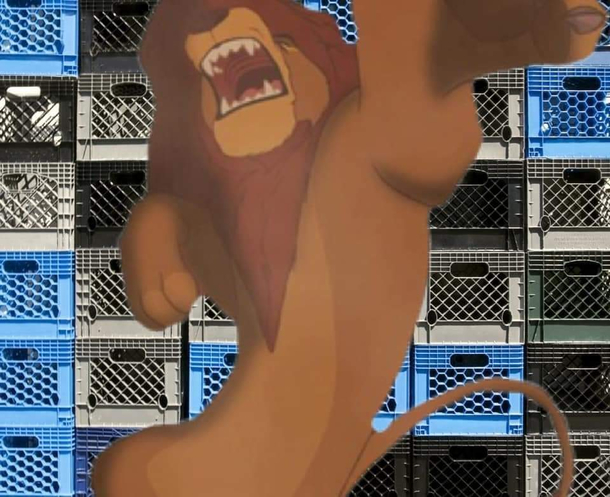 Its the circle of life