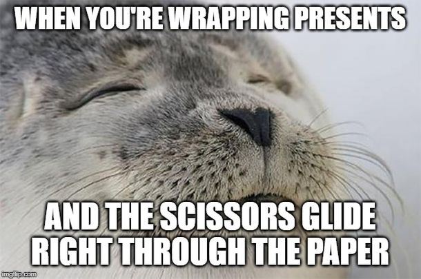 Its the most wonderful time of the year